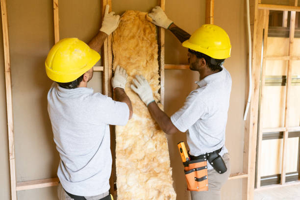 Best Affordable Insulation Services  in Moraine, OH