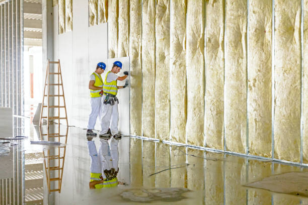 Insulation Repair Services in Moraine, OH